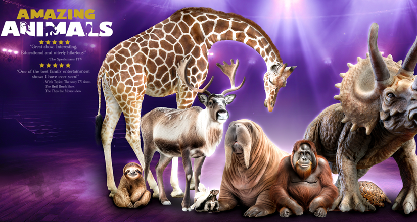 Amazing Animals